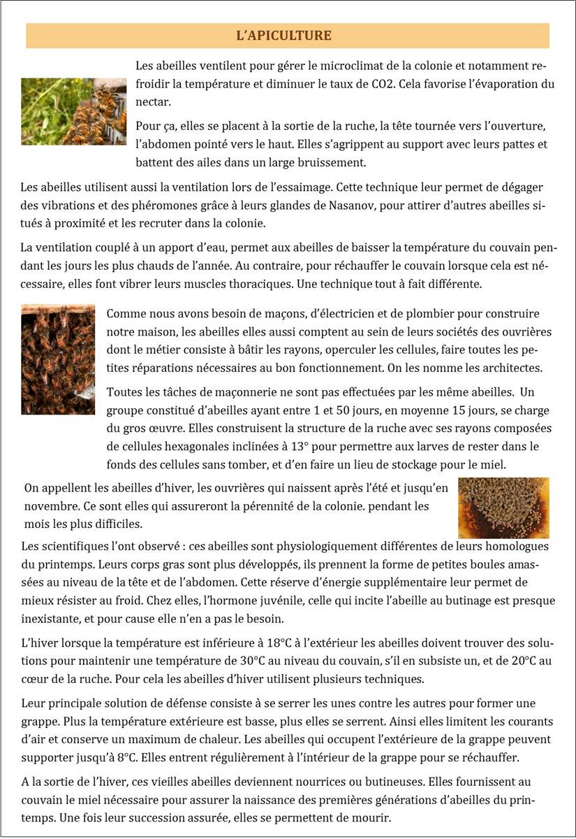 Cliquez pour agrandir
