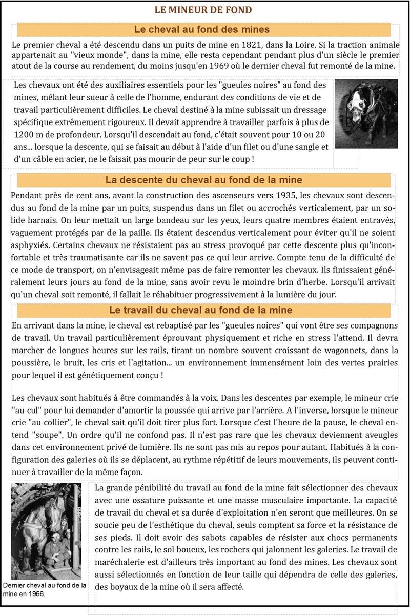 Cliquez pour agrandir