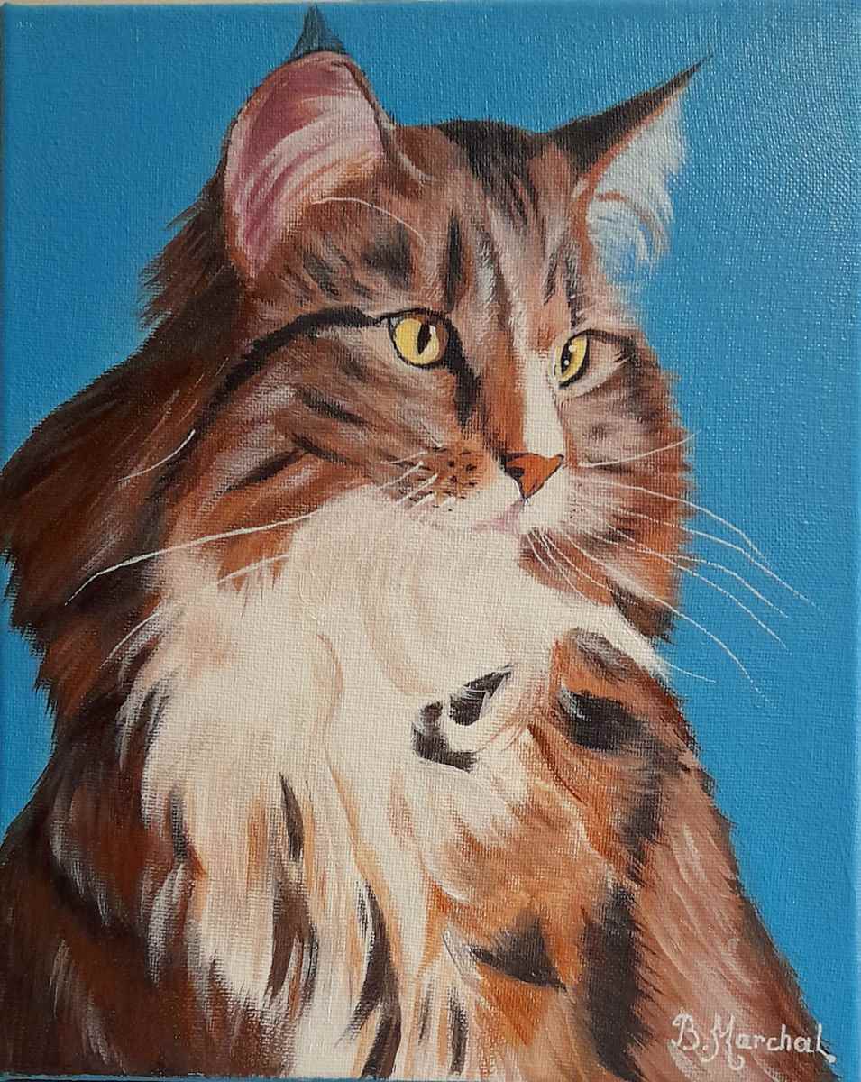 Cliquez pour agrandir